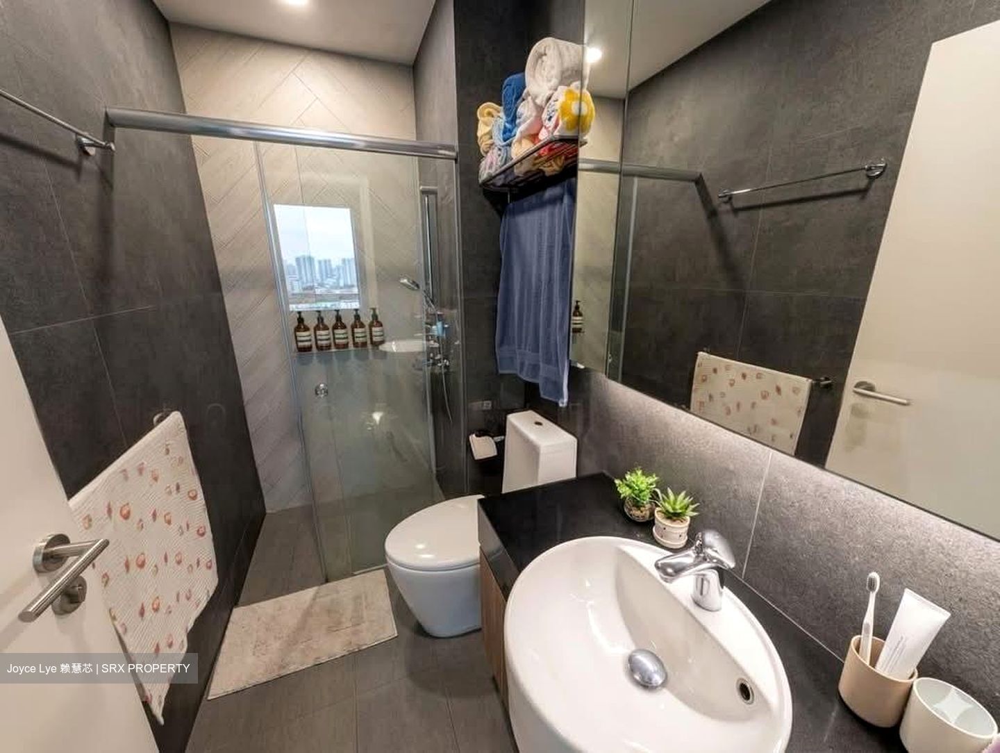 Le Hill Condominium (D5), Condominium #562177071